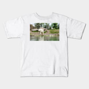 Polar bear walking by lake Kids T-Shirt